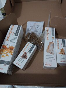 Değerlendirme fotoğrafı