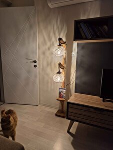 Müşteri yorumu görseli