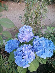 Değerlendirme fotoğrafı