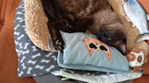 Değerlendirme fotoğrafı