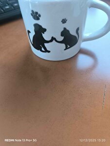 Müşteri yorumu görseli