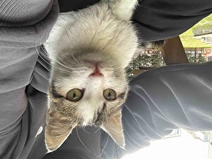 Değerlendirme fotoğrafı