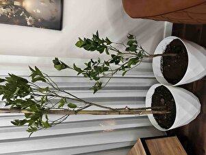 Müşteri yorumu görseli