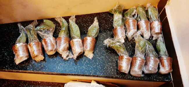 Müşteri yorumu görseli