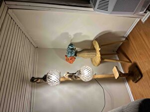 Müşteri yorumu görseli