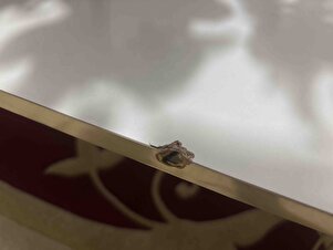 Müşteri yorumu görseli