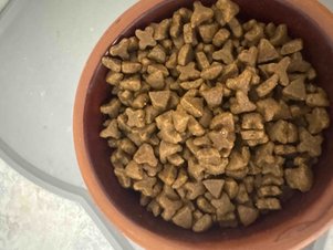 yorum görseli