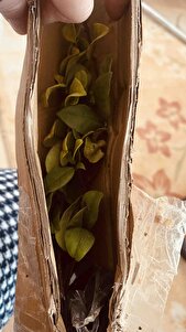 Müşteri yorumu görseli