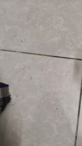 yorum görseli