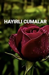 yorum görseli