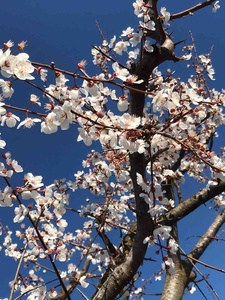 Değerlendirme fotoğrafı