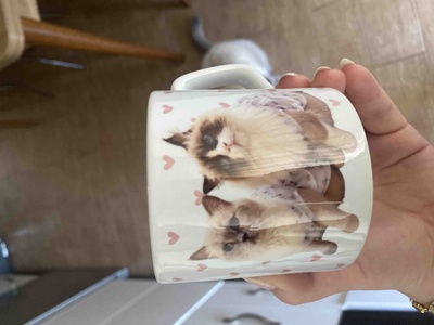 Değerlendirme fotoğrafı
