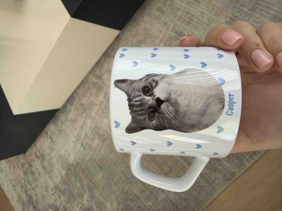 Değerlendirme fotoğrafı