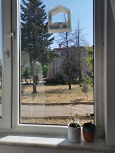 Yorum fotoğrafı