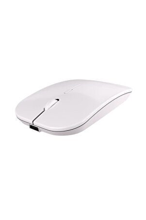 Le101 Hibrit Bluetooth & Wireless Şarj Edilebilir Kablosuz Mouse - Beyaz