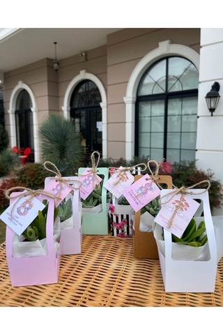 FİDAN PAZARI 8 MART KADINLAR GÜNÜ ÖZEL ÇANTALI MİX PAKET 20 ADET (KARIŞIK RENK)