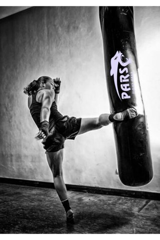Pars Spor Salon Tipi Profesyonel Boks Torbası Kum Torbası 150 X 40 Cm