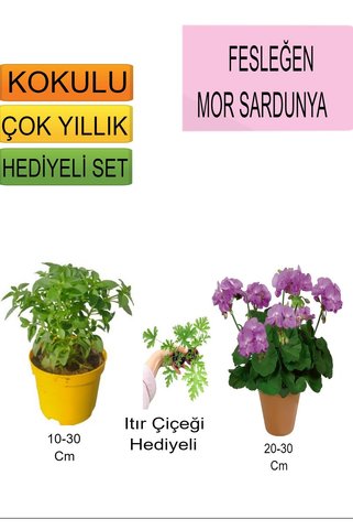 Bitkim Sende 3'Lü Set Fesleğen+Mor Sardunya+Hediyelik Itır Çiçeği