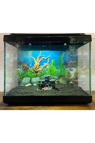 Fauna Pet Supplies 35cm Işıklı Akvaryum (KARIŞIK RENK) (AKSESUAR SETİ HEDİYELİ)