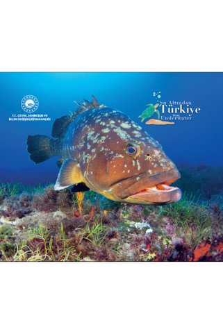 Literatürk Academia SU ALTINDAN TÜRKİYE  FROM UNDERWATER