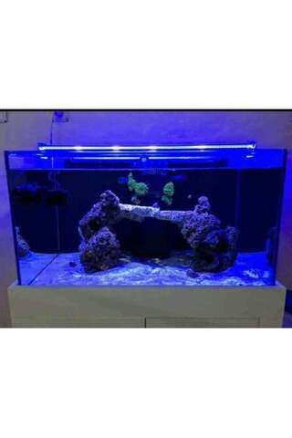 OrionLed BAR LED AYDINLATMA ROYAL MAVİ 70CM