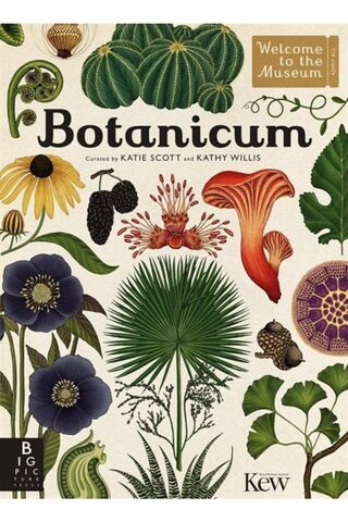 TÜRKİYE İŞ BANKASI KÜLTÜR YAYINLARI Botanicum