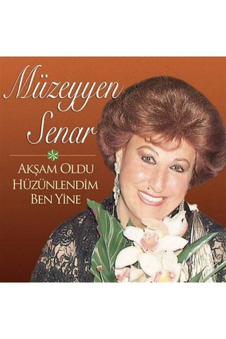 plakmarketi Müzeyyen Senar - Akşam Oldu Hüzünlendim Ben Yine (PLAK)