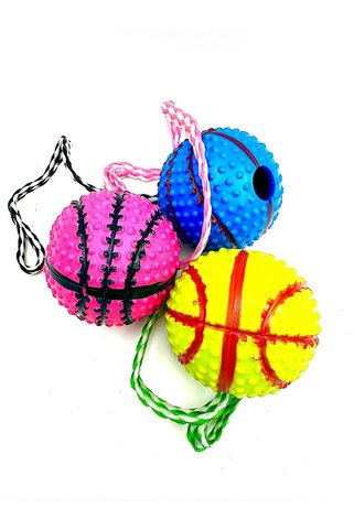 Basketbol Topu Modelli Zilli İpli Köpek Eğitim Topu Oyuncağı Seti