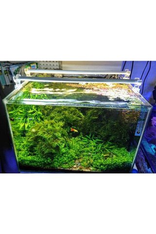 ORİONLED Bar Led Akvaryum Aydınlatması Beyaz 70Cm 6500K