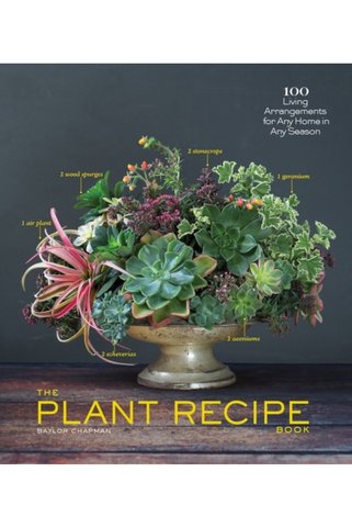 Pandora Kitabevi Plant Recipe Book : 100 Living Centerpieces for Any Home in Any Season