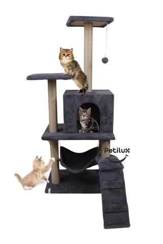 Petilux Dinlenme Hamaklı Yuvalı Tırmalama Direkli Çok Amaçlı Katlı Kedi Oyun ve Aktivite Evi