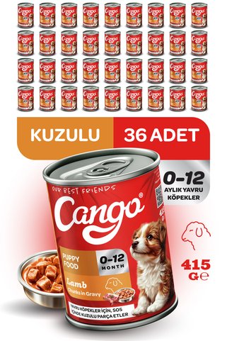 Cango Yavru Yaş Köpek Maması Kuzu Etli 415Gr 36Lı