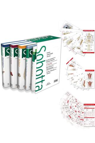 Güneş Tıp Kitabevleri Sobotta İnsan Anatomisi Atlası Seti 4 Cilt + Anatomi Cep Kartları Seti