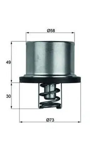 MAHLE THD179 Termostat 0052031875 0295024 0750562