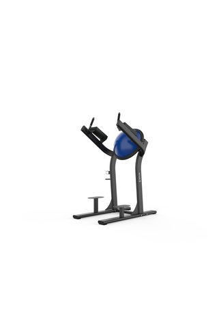 SHUA Fitness Luxury Leg Raise