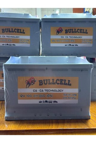 Petlas 12V 100 AH BULLCELL