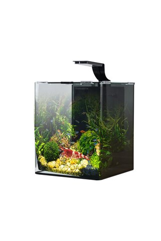 ANUBIAS AQUARIUM LIVE PLANTS Anubias Shrimp Nano Akvaryum Set Siyah 29x29x35 cm