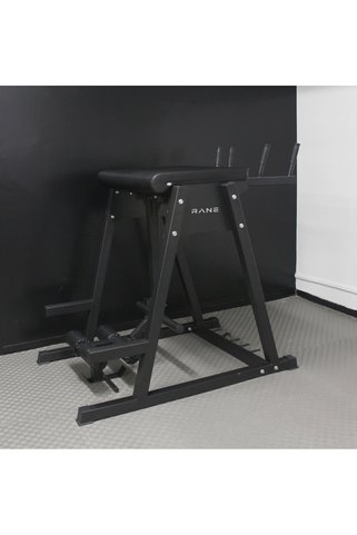 Rane Fitness Equipment Rane Reverse Hyper Model 2
