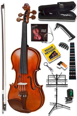 Saatistan Gül Ağacı Keman 4/4 Tam Boy, Profesyonel Kalite Set