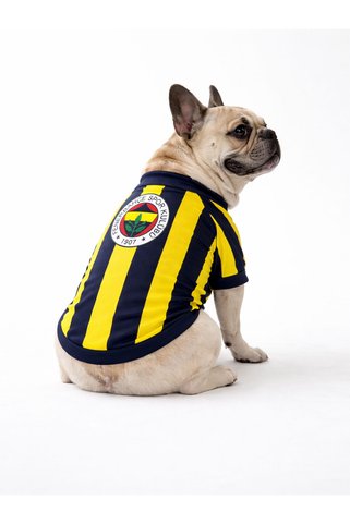 Fenerbahçe FENERBBAHÇE PET TSHIRT