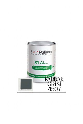 Polisan X1 All ile İstediğini Boya-Çizilmez-Kokusuz-Yıkanabilir Dönüşüm Boyası 0.75lt KARDAK GRİSİ