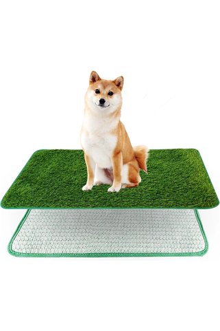 Mixpet Tekrar Kullanılabilir Köpek Tuvalet Eğitim Halısı L 46x71 cm