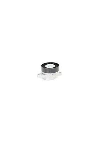 BSG 60-615-020 V KAYIS GERGISI KOMPLE A1122000970