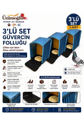 üzümoglu 3 ADET ASMALI GÜVERCİN FOLLUĞU