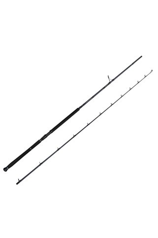 Savage Gear Defiance SG2 Shore Jig 2.90m 50-120gr 2 Parça Olta Kamışı