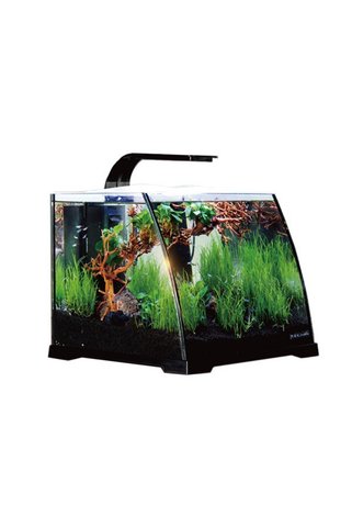 ANUBIAS AQUARIUM LIVE PLANTS Anubias Ruby 30 Nano Akvaryum Siyah 30 x 29,8 x 25,7 Cm