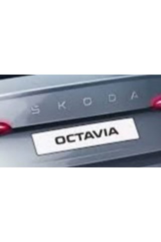 Wisco 347047 YAZI SKODA 2024 (ÇAMURLUK 2Lİ) KROM TW7310004
