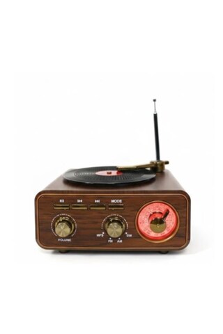 Everton RT-1317bt Bluetooth Usb-Micro Plak Radyo