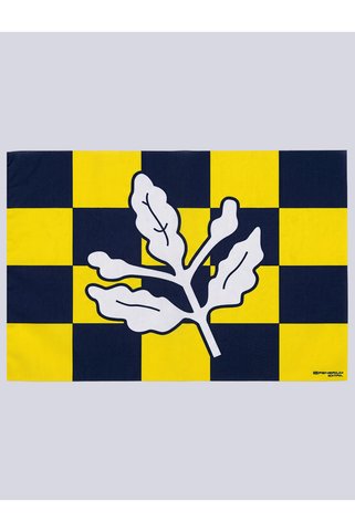 Fenerbahçe 250X350 DAMALI BAYRAK