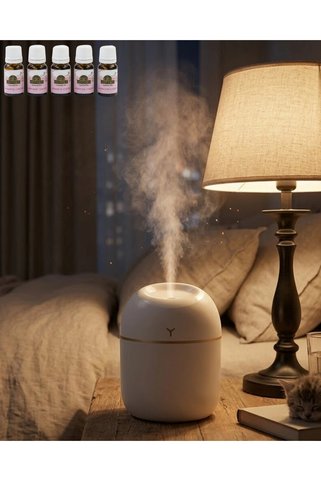 ARNEER Mey İthalat® Araç Ve Ofis İçin Mini Nemlendirici 5 Esans Hediyeli Usb Led Işıklı Buhar Makinesi